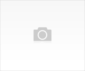 11 ocak 2017 tarihinde Ankara Üniversitesi Tıp Fakültesinde Terapötik Aferez Uygulamaları Sempozyumu yapıldı.Sempozyumda Aferezde güncel durum ile ilgili konulara değinildi.